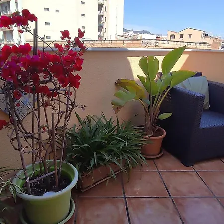 Apartment In Mit Moeblierter Terrasse