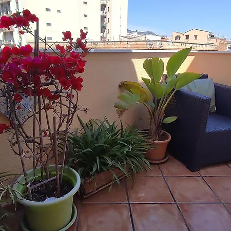 In Mit Moeblierter Terrasse Palermo